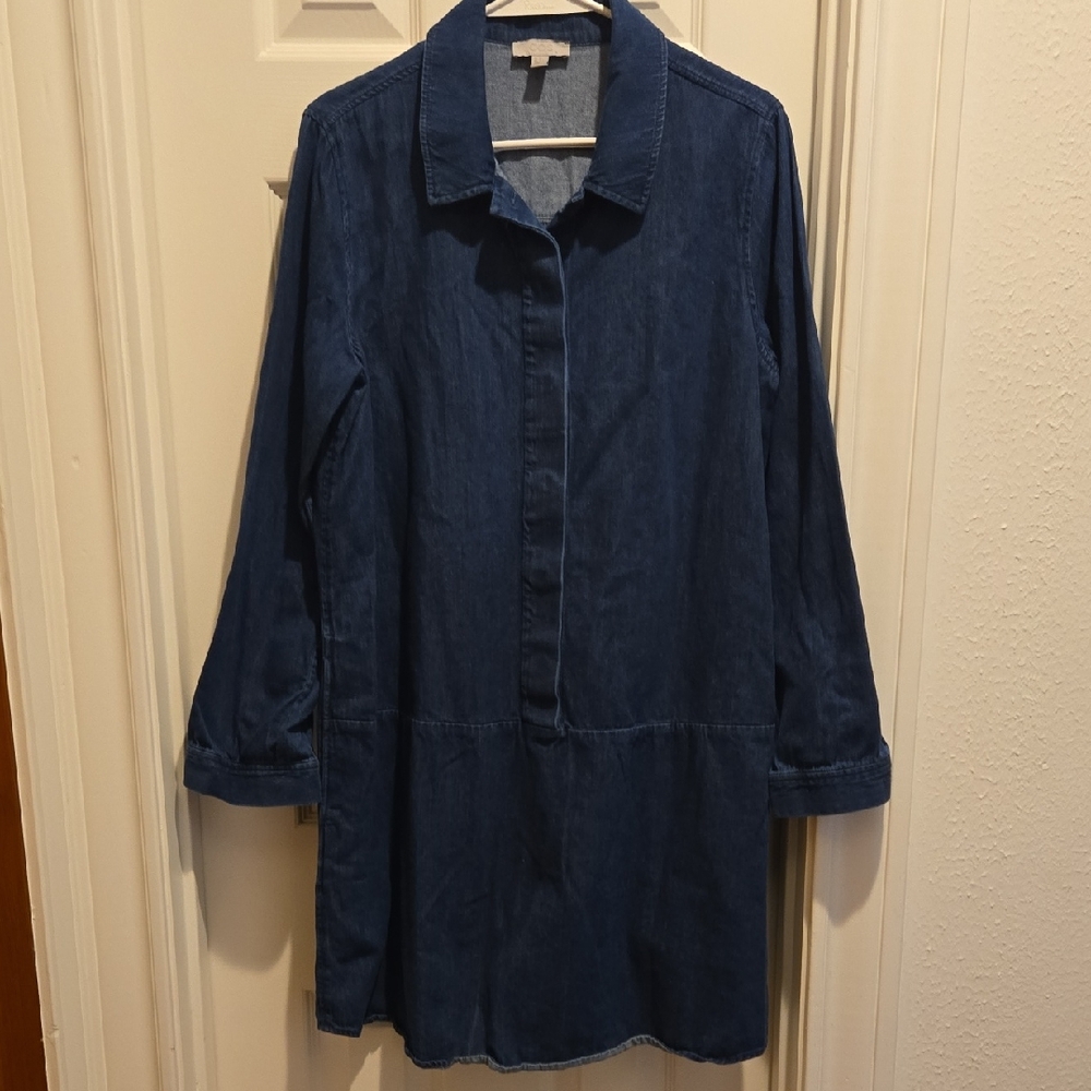 COS Blue Denim Shirt Dress